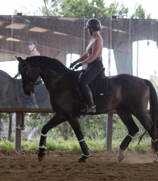Full Training