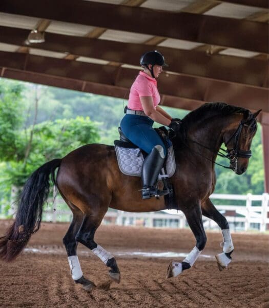 Single Private Lesson